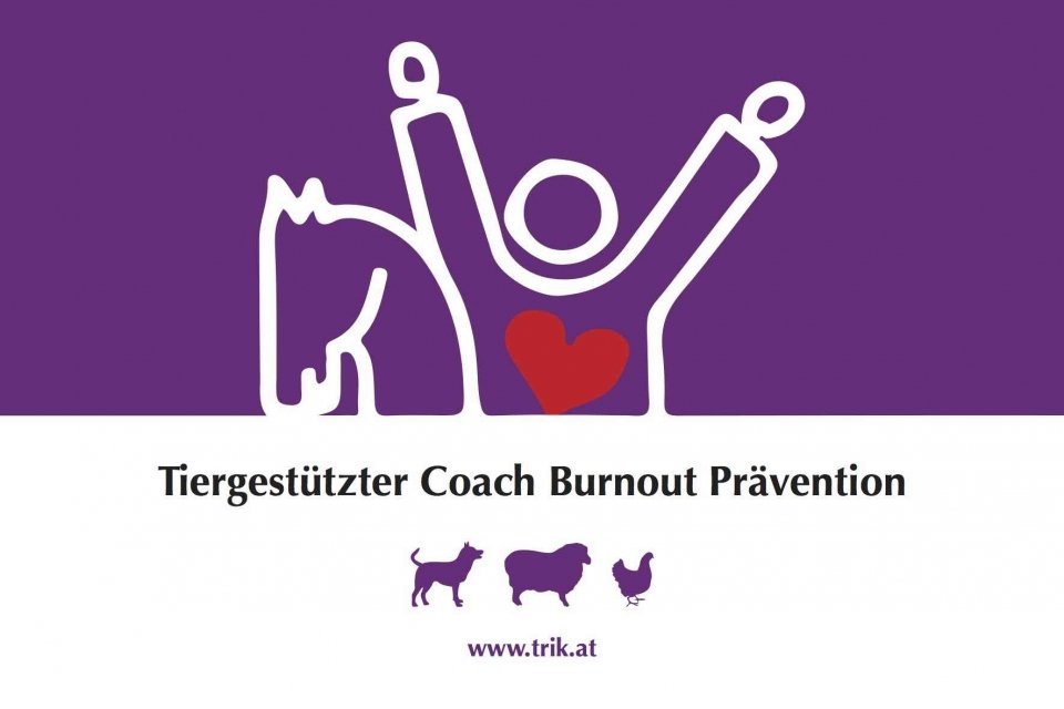stalltafeln-burnout-niedrig